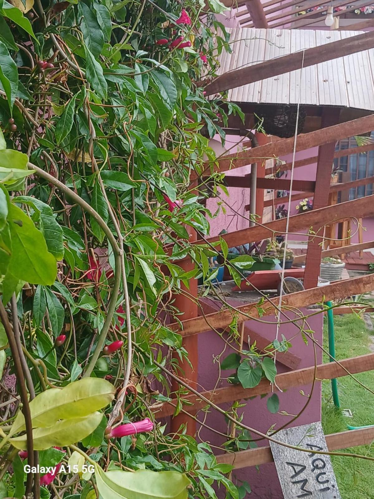Recanto Pequena Sereia 圣马特乌斯 外观 照片