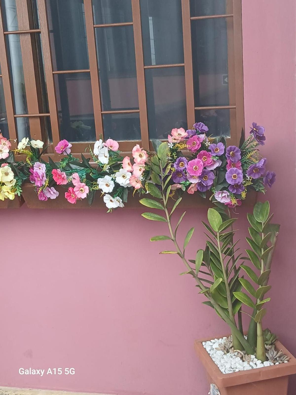 Recanto Pequena Sereia 圣马特乌斯 外观 照片